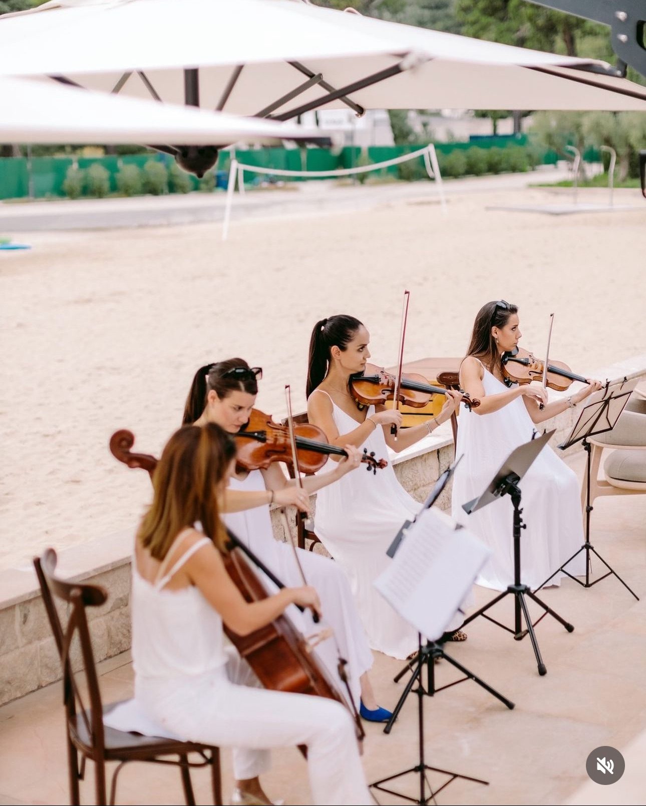 Quartet Unique 3