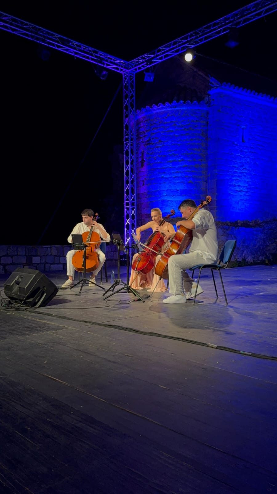 Tree Cellos 4